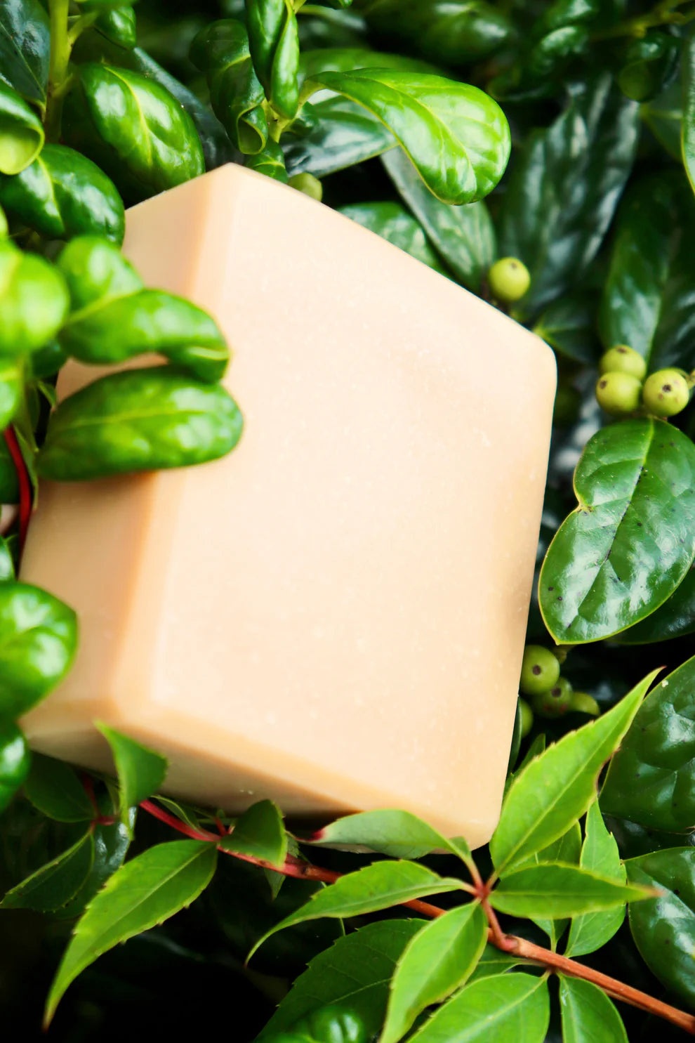 Organic Grass Fed Tallow Soap